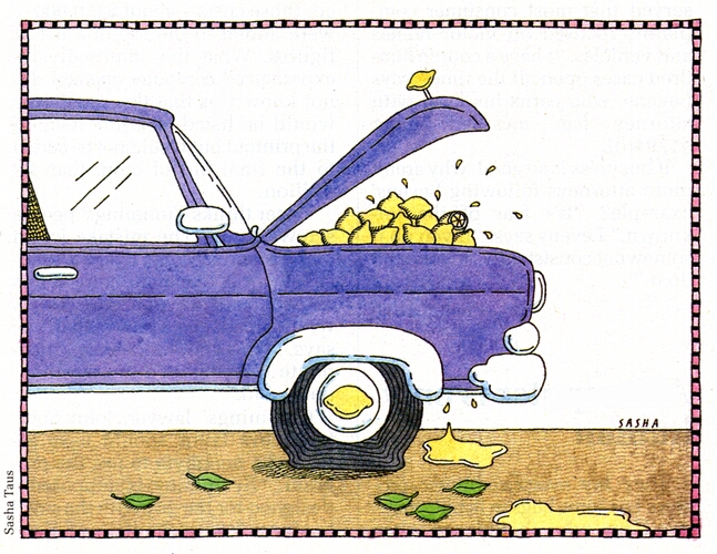 Lemon Car Law
