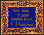 Bat Mitzvah