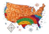 USA Map